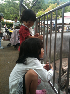 image-20100927021054.png