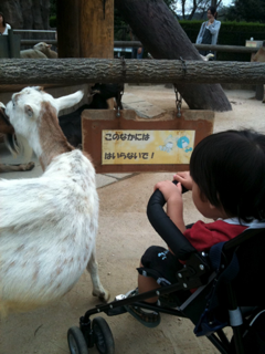 image-20100927021156.png