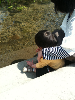 image-20110424171623.png